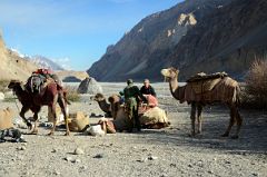 25 Loading The Camels At River Junction Camp Looking To The West Early Morning In The Shaksgam Valley On Trek To K2 North Face In China.jpg